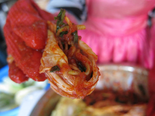 An Immigrant's Kimjang